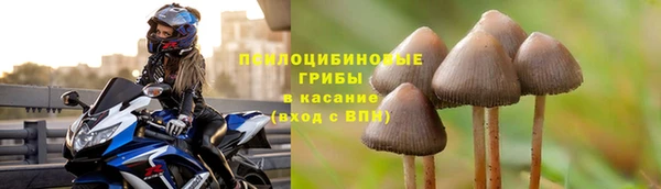 2c-b Вязники