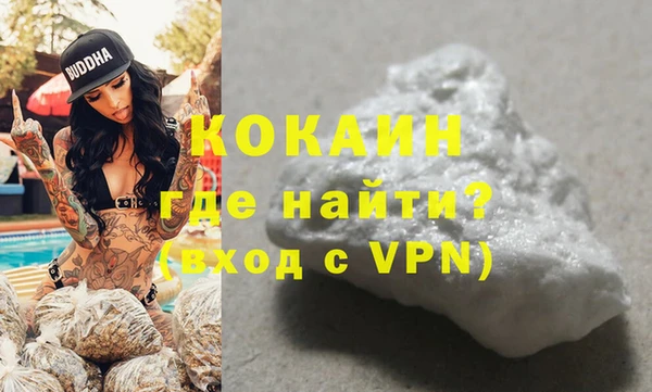 гидра Володарск